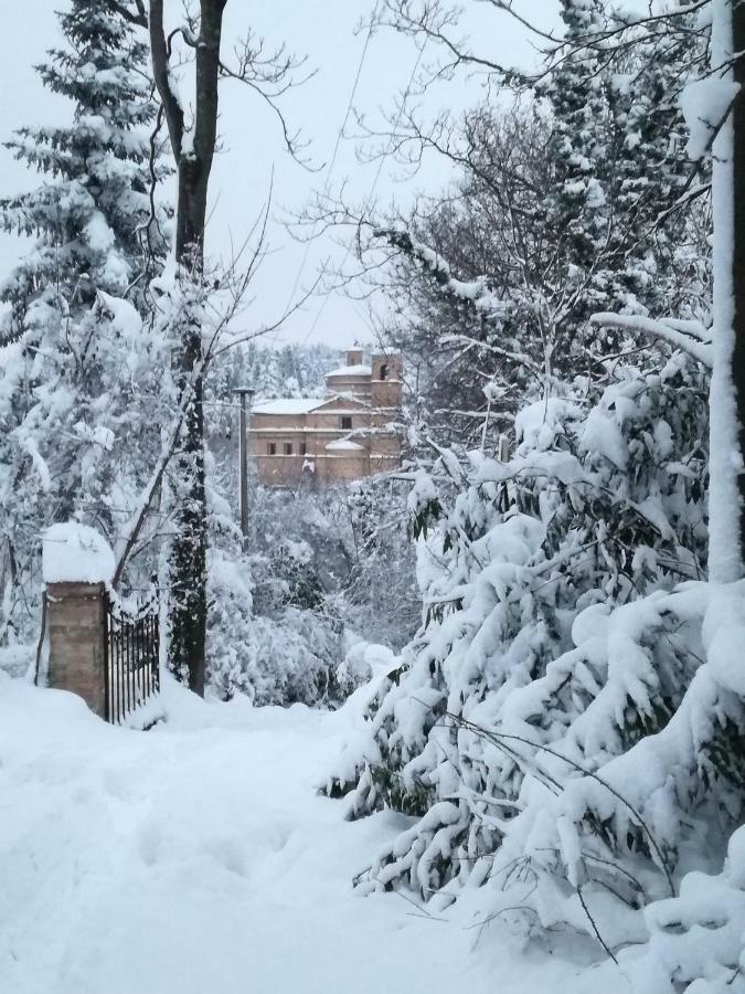 Ca'Lavalle B&B Urbino Dış mekan fotoğraf